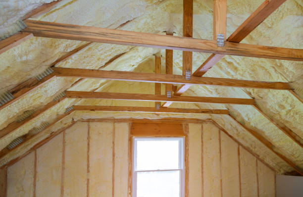 Best Specialized Insulation Services in Langley, SC